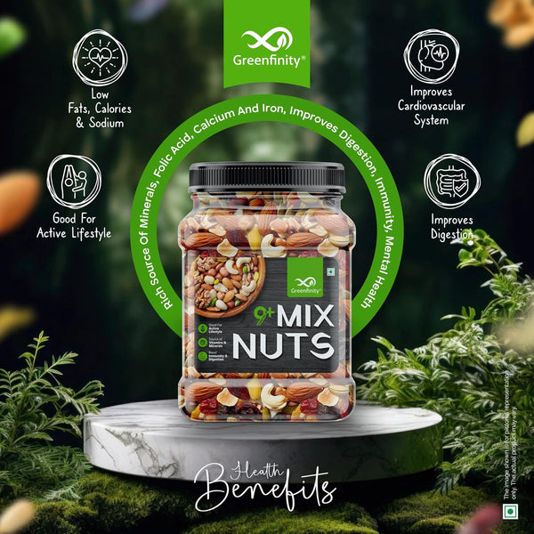 GreenFinity Healthy Nutmix- 500g (Pack of 2)