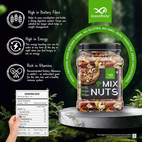 GreenFinity Healthy Nutmix- 500g (Pack of 2)